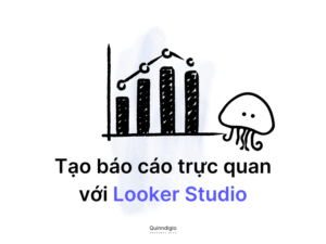 Looker studio quinndigio 9
