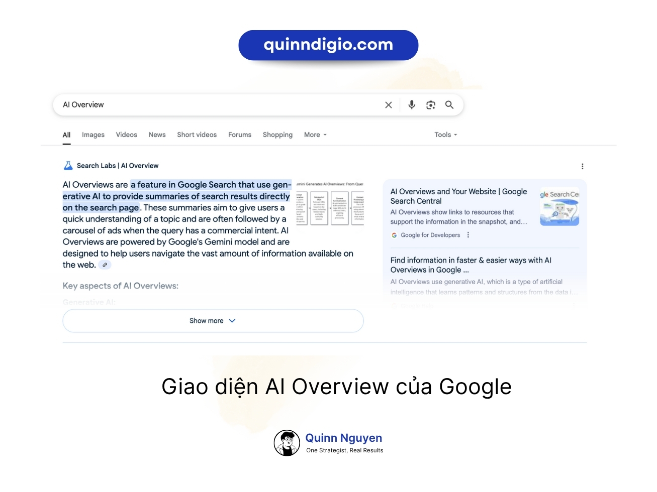 Giao diện ai overview của google